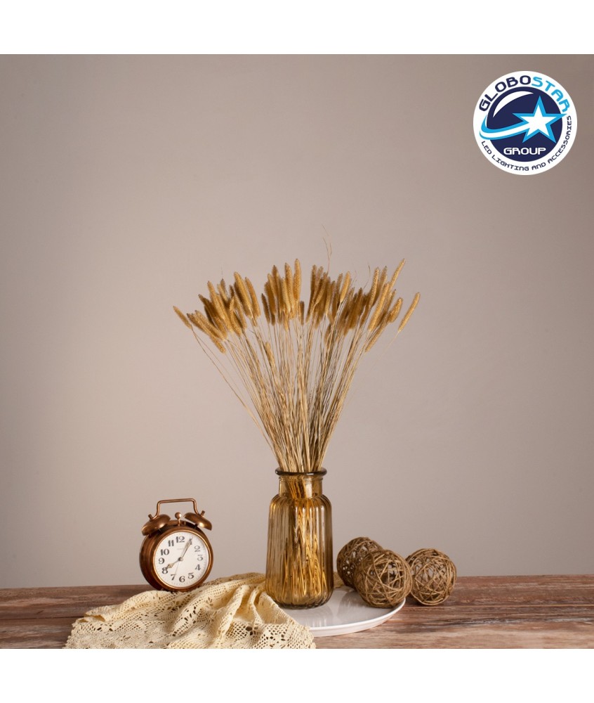 GloboStar® SETARIA 36557 Αποξηραμένο Φυτό Σεταρία - Μπουκέτο Διακοσμητικών Κλαδιών Μπεζ Υ60cm - Σετ 100 τμχ